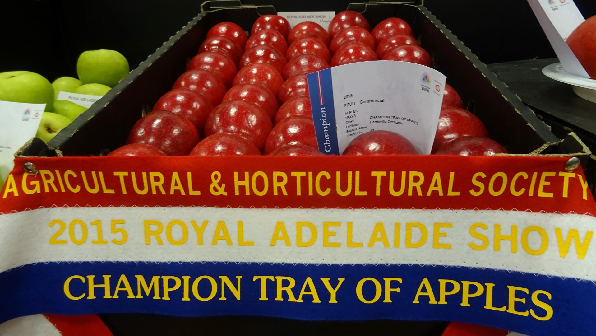 Champion Tray of Apples. Royal Adelaide Show 2015